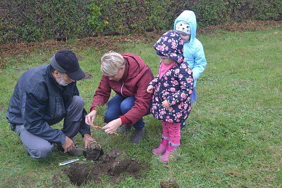 Grafika #0: "Dzień Drzewa" w Przedszkolu