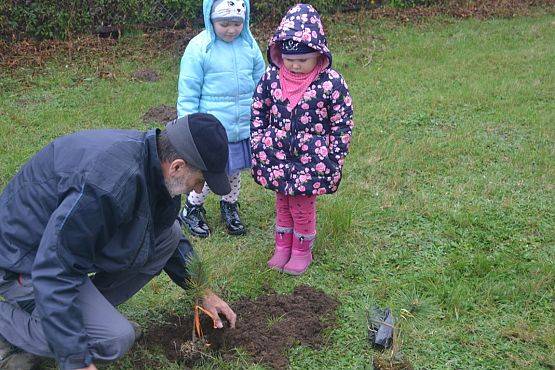 Grafika #1: "Dzień Drzewa" w Przedszkolu