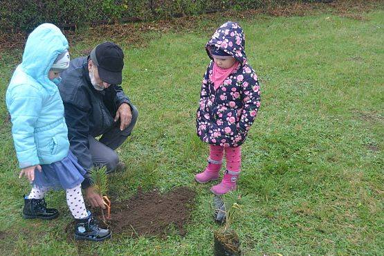 Grafika #2: "Dzień Drzewa" w Przedszkolu