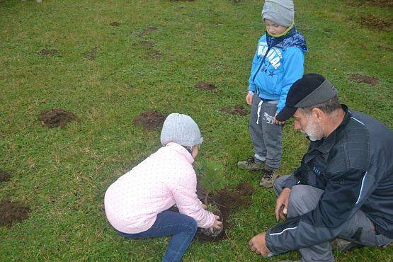 Grafika #3: "Dzień Drzewa" w Przedszkolu