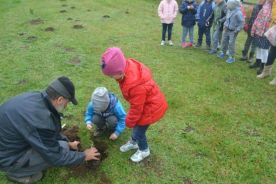 Grafika #5: "Dzień Drzewa" w Przedszkolu