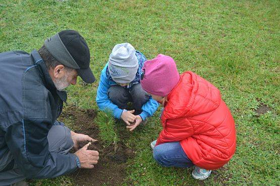 Grafika #6: "Dzień Drzewa" w Przedszkolu