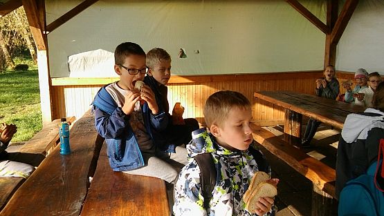 Grafika #19: Wycieczka do Redkowic klas III SP