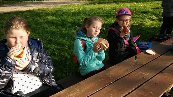 Grafika #21: Wycieczka do Redkowic klas III SP