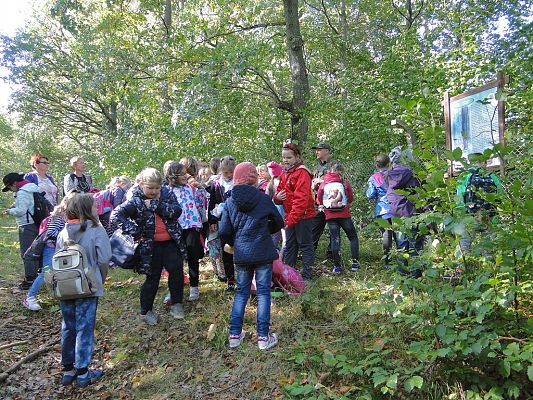 Grafika #1: Wyjazd do Uroczyska Drętowo