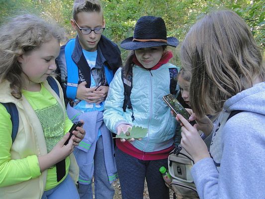 Grafika #5: Wyjazd do Uroczyska Drętowo