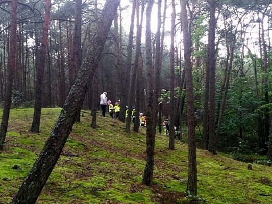 Grafika #1: Przedszkolaki żegnają lato.