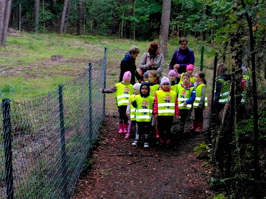 Grafika #6: Przedszkolaki żegnają lato.