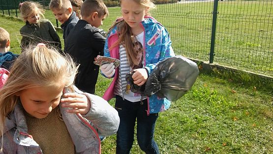 Grafika #0: Sprzątanie świata 2017