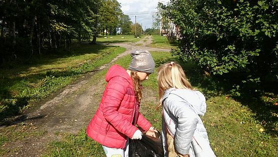 Grafika #1: Sprzątanie świata 2017