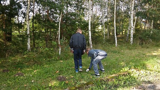 Grafika #2: Sprzątanie świata 2017