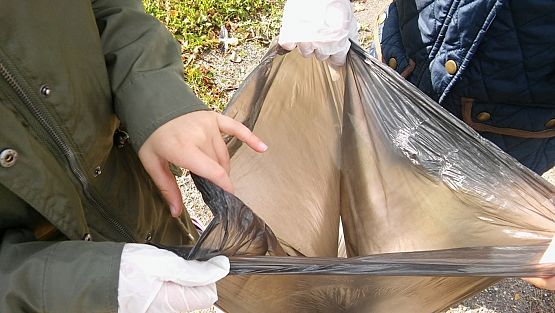 Grafika #5: Sprzątanie świata 2017