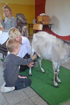 Grafika #7: MLECZNA DROGA W SZKOLE Z KOZĄ MAGDĄ