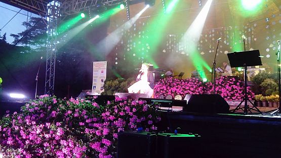 Grafika #2: Julia Wolska i jej wakacyjny sukces!