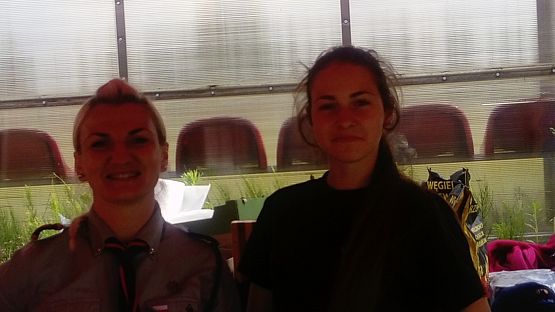 Grafika #1: Harcerskie wakacje trwają