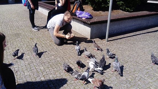 Grafika #1: Wycieczka klasy IIb gimnazjum