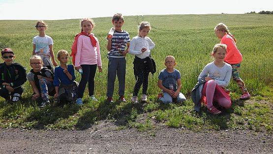 Grafika #16: Czerwiec w klasie 2a