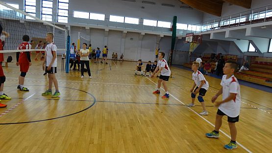 Grafika #9: V Ogólnopolski Turniej Minipiłki Siatkowej Chłopców o Puchar Wójta Gminy Nowa Wieś Lęborska Komputronik Cup 2017