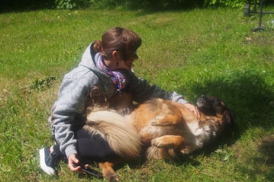 Grafika #20: Wspaniała przygoda klasy I b w Przywidzu - klasowy biwak