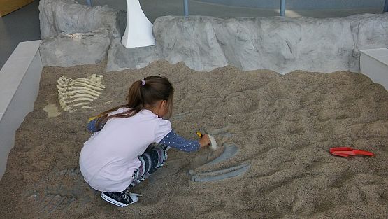 Grafika #23: Wycieczka klasy IIa i IIb do Centrum Nauki Experyment w Gdyni