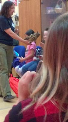 Grafika #6: Wizyta w Gdańskim Zoo