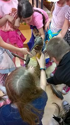 Grafika #8: Wizyta w Gdańskim Zoo