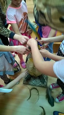 Grafika #17: Wizyta w Gdańskim Zoo