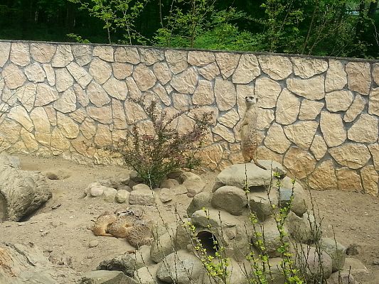 Grafika #27: Wizyta w Gdańskim Zoo