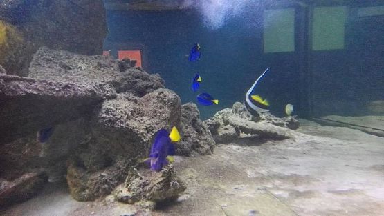 Grafika #9: Wycieczka do Władysławowa