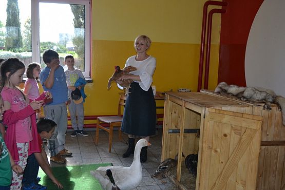 Grafika #10: Wiosenny kurnik