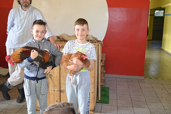 Grafika #18: Wiosenny kurnik