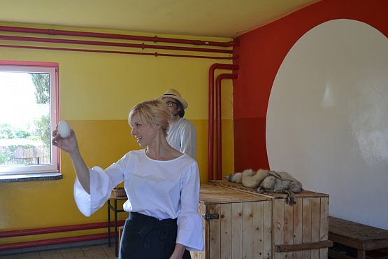 Grafika #22: Wiosenny kurnik