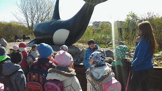 Grafika #0: Kl. IIa i IIb w Ocean Park we Władysławowie