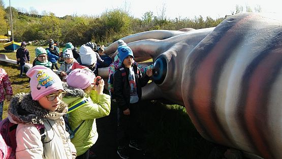 Grafika #1: Kl. IIa i IIb w Ocean Park we Władysławowie