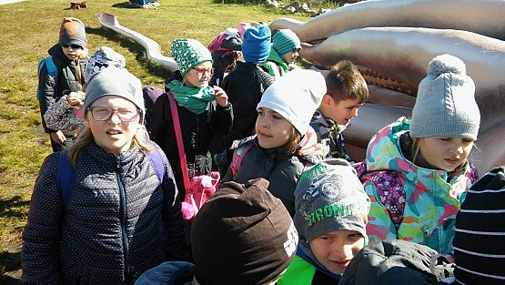 Grafika #3: Kl. IIa i IIb w Ocean Park we Władysławowie