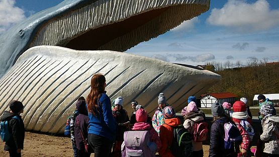 Grafika #6: Kl. IIa i IIb w Ocean Park we Władysławowie