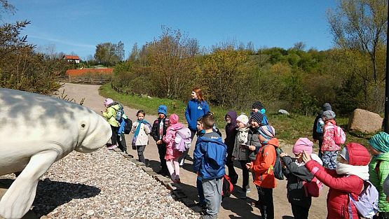 Grafika #10: Kl. IIa i IIb w Ocean Park we Władysławowie