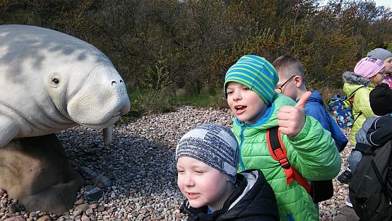 Grafika #11: Kl. IIa i IIb w Ocean Park we Władysławowie