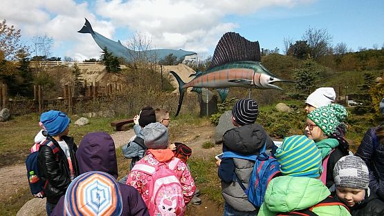 Grafika #12: Kl. IIa i IIb w Ocean Park we Władysławowie