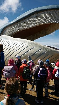 Grafika #7: Kl. IIa i IIb w Ocean Park we Władysławowie