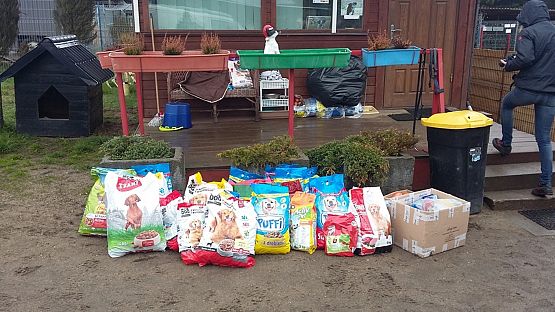 Grafika #0: Wizyta w Schronisku OTOZ Animals w Dąbrówce