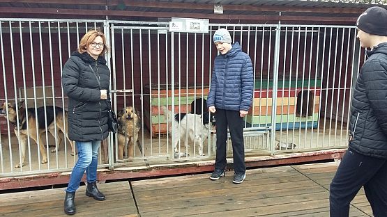 Grafika #1: Wizyta w Schronisku OTOZ Animals w Dąbrówce