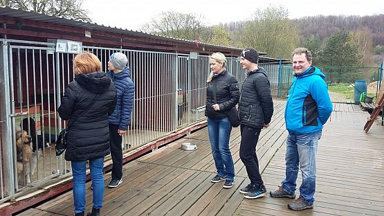 Grafika #2: Wizyta w Schronisku OTOZ Animals w Dąbrówce