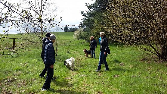 Grafika #3: Wizyta w Schronisku OTOZ Animals w Dąbrówce