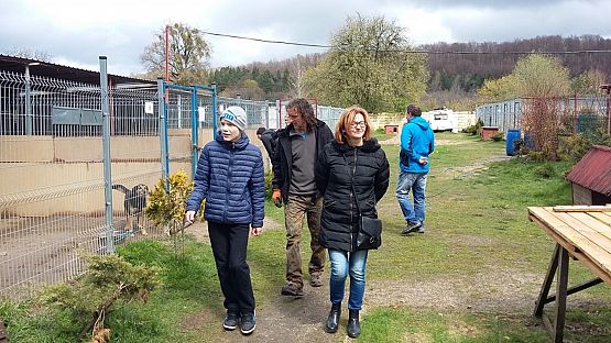 Grafika #4: Wizyta w Schronisku OTOZ Animals w Dąbrówce