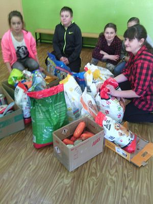 Grafika #5: Wizyta w Schronisku OTOZ Animals w Dąbrówce