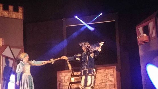 Grafika #10: Roszpunka