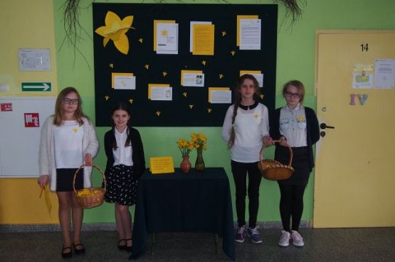 Grafika #1: Akcja społeczno- edukacyjna "Żonkile" w naszej szkole