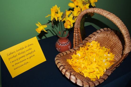 Grafika #0: Akcja społeczno- edukacyjna "Żonkile" w naszej szkole