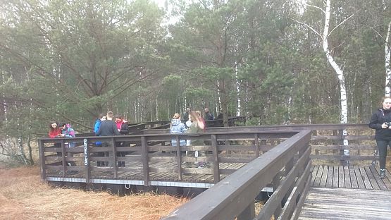 Grafika #8: Nasi harcerze podjęli się kolejnego wyzwania!